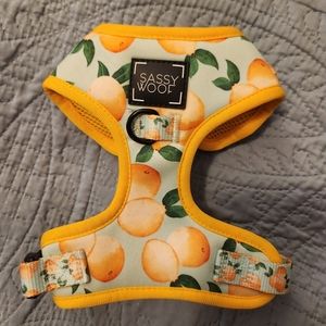 Sassy Woof XS dog harness